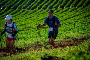 BIB: 9392, 1351, 427
                            <button type="button" onclick="openModal(19160859)" class="btn btn-primary btn-sm float-right btn-popup" data-toggle="modal" data-target=".modal-high-quality">
                        <i class="fas fa-shopping-cart"></i> Add to Cart
                    </button>
                                            <button type="button" onclick="isThisMe(19160859, true)" class="btn btn-success btn-sm float-right btn-popup btn-isme hidden" data-toggle="tooltip" data-placement="bottom" title="นี่คือรูปของคุณใช่ไหม คลิกที่นี่เพื่อเอาเข้าอัลบั้ม">
                        <i class="fas fa-plus"></i> Add to album
                    </button>
                    <button type="button" onclick="isThisMe(19160859, false)" class="btn btn-warning btn-sm float-right btn-popup btn-isnotme hidden">
                        <i class="fas fa-ban"></i> Remove from album
                    </button>